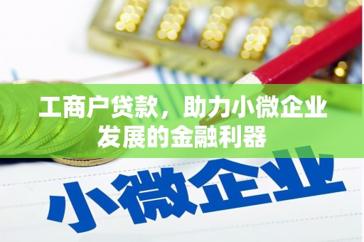 滴道工商户贷款，助力小微企业发展的金融利器