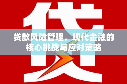 滴道贷款风险管理，现代金融的核心挑战与应对策略
