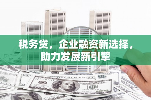 滴道税务贷，企业融资新选择，助力发展新引擎