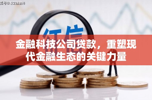 滴道金融科技公司贷款，重塑现代金融生态的关键力量