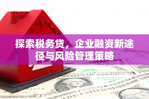 滴道探索税务贷，企业融资新途径与风险管理策略