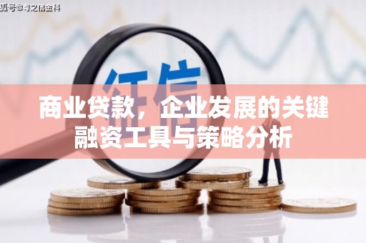 滴道商业贷款，企业发展的关键融资工具与策略分析