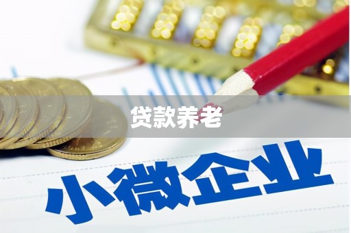 滴道贷款养老
