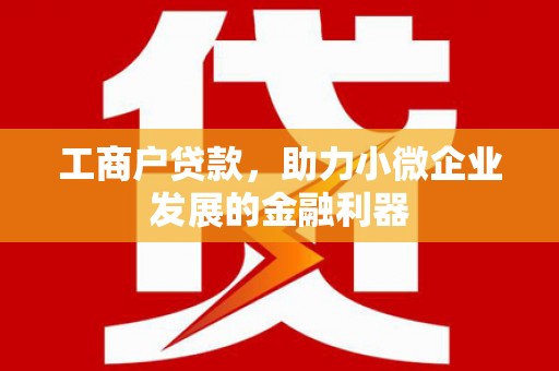 滴道工商户贷款，助力小微企业发展的金融利器