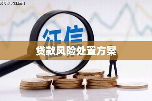 滴道贷款风险处置方案