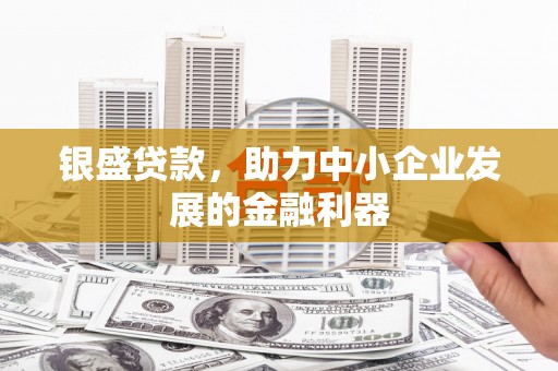 滴道银盛贷款，助力中小企业发展的金融利器