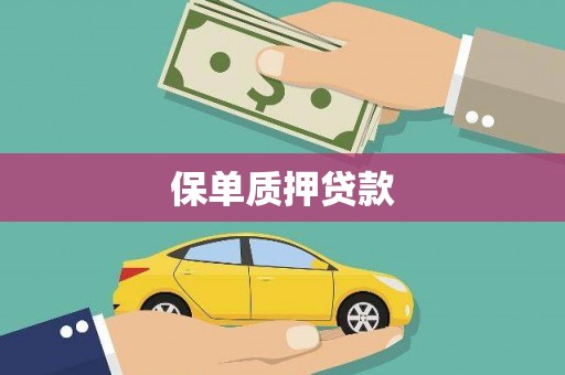 滴道保单质押贷款