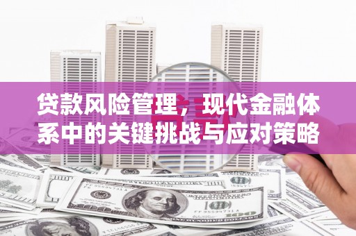 滴道贷款风险管理，现代金融体系中的关键挑战与应对策略