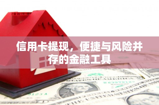 滴道信用卡提现，便捷与风险并存的金融工具