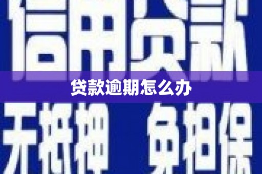 滴道贷款逾期怎么办