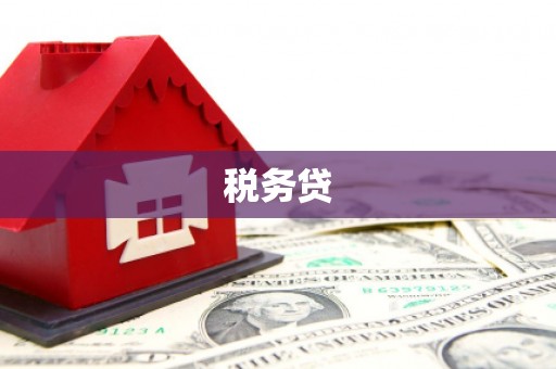 滴道税务贷