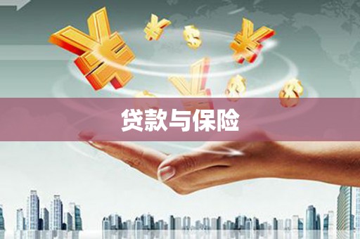 滴道贷款与保险