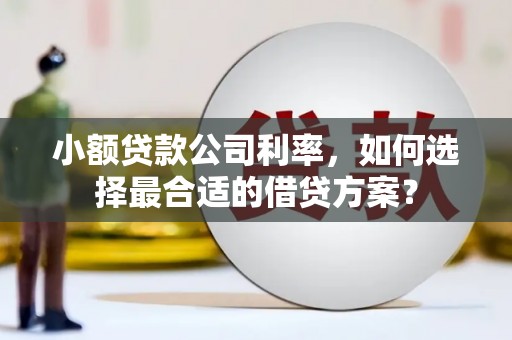 滴道小额贷款公司利率，如何选择最合适的借贷方案？