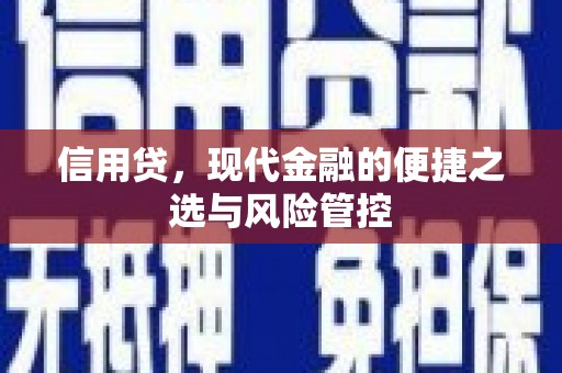 滴道信用贷，现代金融的便捷之选与风险管控