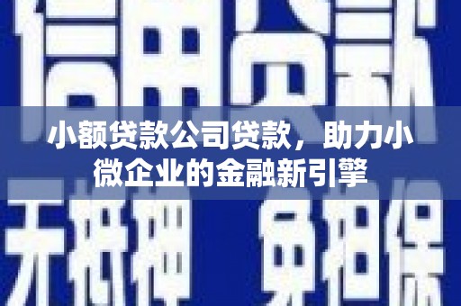 滴道小额贷款公司贷款，助力小微企业的金融新引擎