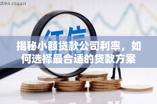 滴道揭秘小额贷款公司利率，如何选择最合适的贷款方案