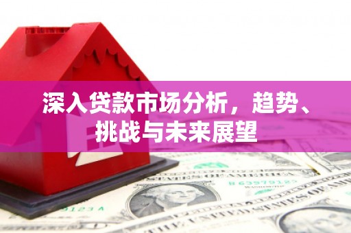 滴道深入贷款市场分析，趋势、挑战与未来展望