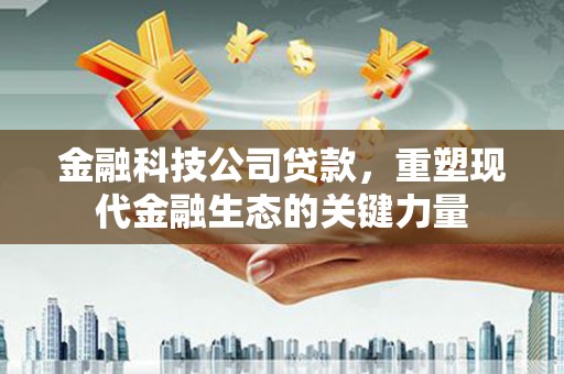 滴道金融科技公司贷款，重塑现代金融生态的关键力量