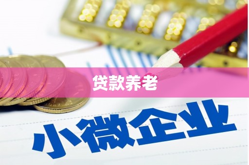 滴道贷款养老