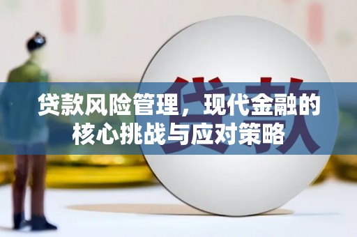 滴道贷款风险管理，现代金融的核心挑战与应对策略