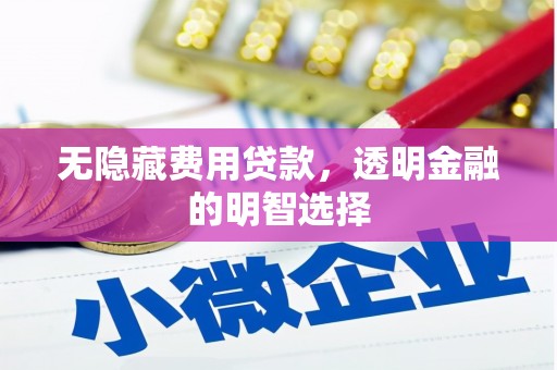 滴道无隐藏费用贷款，透明金融的明智选择