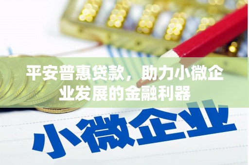 滴道平安普惠贷款，助力小微企业发展的金融利器