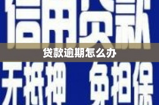 滴道贷款逾期怎么办