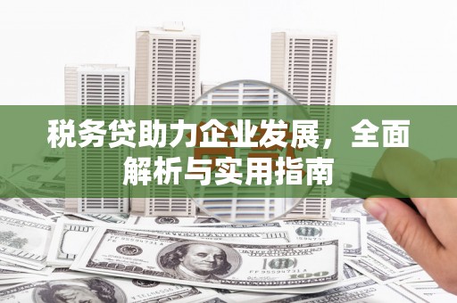 滴道税务贷助力企业发展，全面解析与实用指南