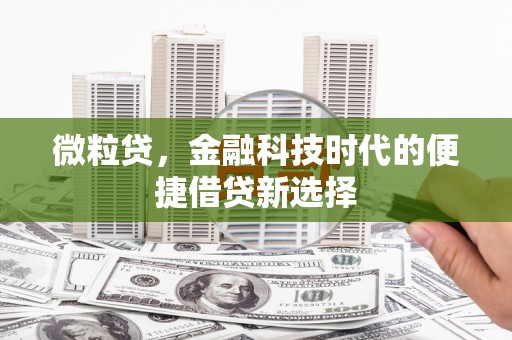 滴道微粒贷，金融科技时代的便捷借贷新选择