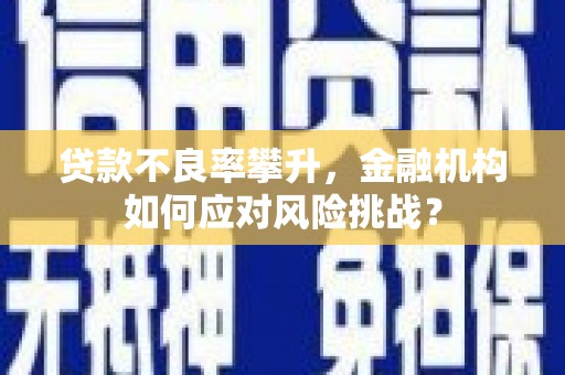 滴道贷款不良率攀升，金融机构如何应对风险挑战？
