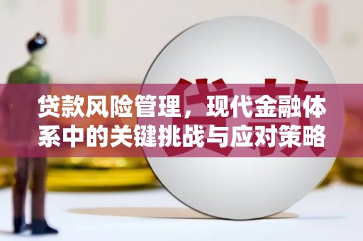滴道贷款风险管理，现代金融体系中的关键挑战与应对策略