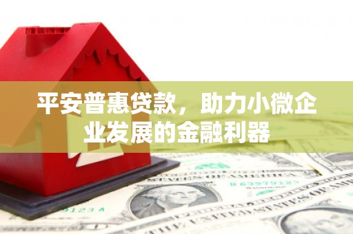 滴道平安普惠贷款，助力小微企业发展的金融利器