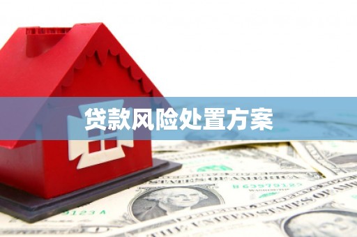 滴道贷款风险处置方案