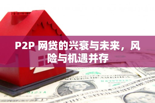 滴道P2P 网贷的兴衰与未来，风险与机遇并存