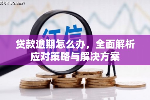 滴道贷款逾期怎么办，全面解析应对策略与解决方案