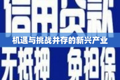 滴道机遇与挑战并存的新兴产业