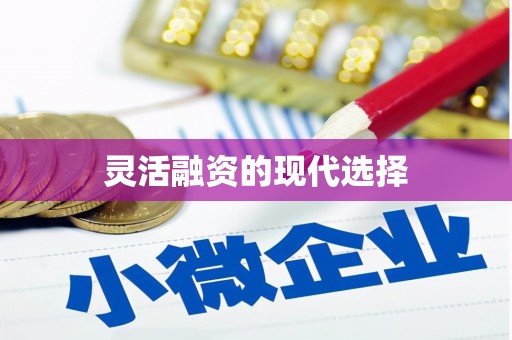 滴道灵活融资的现代选择