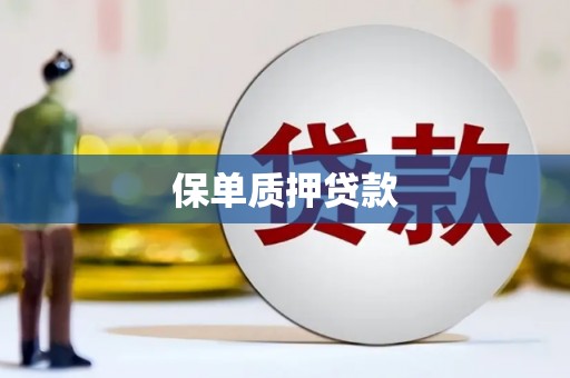 滴道保单质押贷款