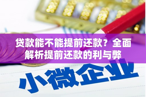 滴道贷款能不能提前还款？全面解析提前还款的利与弊
