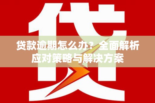 滴道贷款逾期怎么办？全面解析应对策略与解决方案