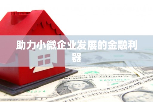 滴道助力小微企业发展的金融利器