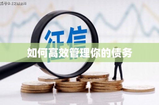 滴道如何高效管理你的债务