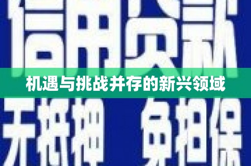滴道机遇与挑战并存的新兴领域