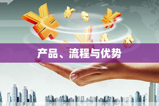 滴道产品、流程与优势