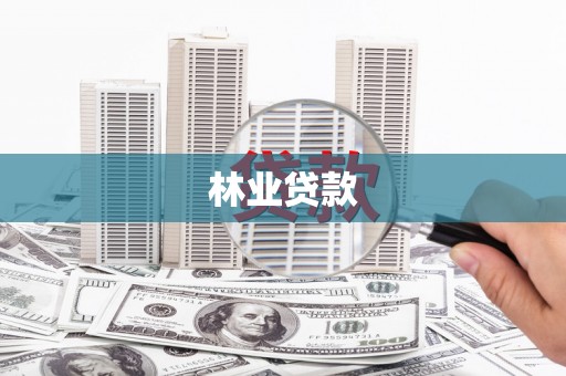 滴道林业贷款