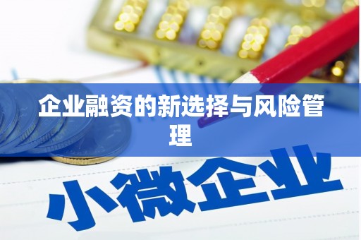 滴道企业融资的新选择与风险管理