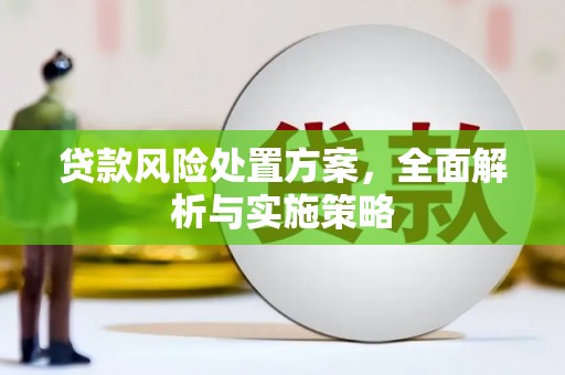 滴道贷款风险处置方案，全面解析与实施策略