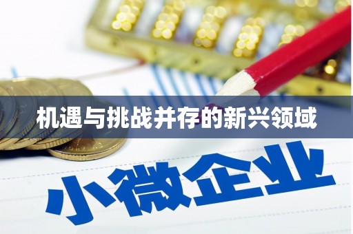 滴道机遇与挑战并存的新兴领域