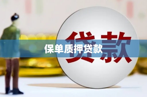 滴道保单质押贷款