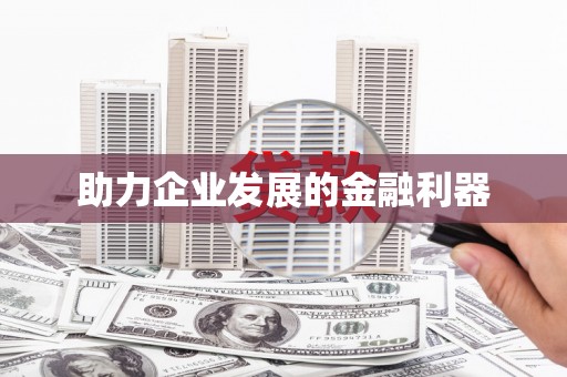 滴道助力企业发展的金融利器